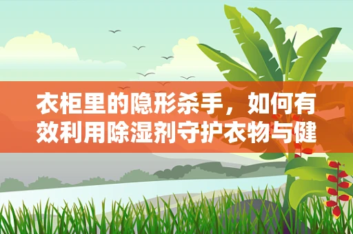 衣柜里的隐形杀手，如何有效利用除湿剂守护衣物与健康？