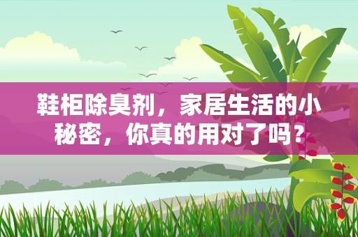 鞋柜除臭剂，家居生活的小秘密，你真的用对了吗？