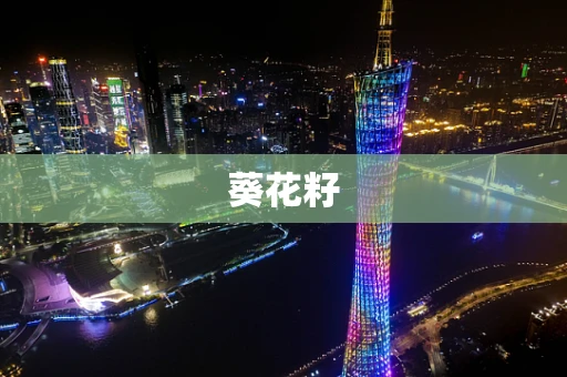 葵花籽