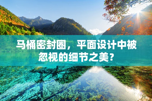 马桶密封圈，平面设计中被忽视的细节之美？