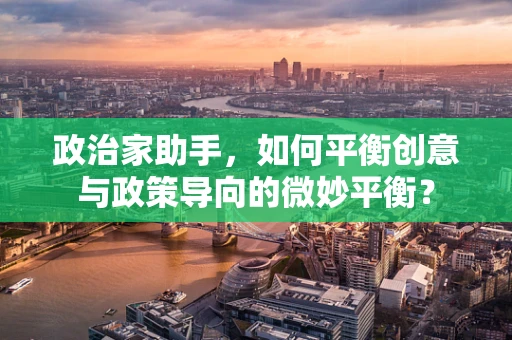 政治家助手，如何平衡创意与政策导向的微妙平衡？