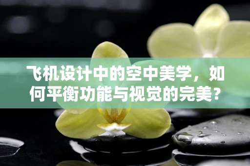 飞机设计中的空中美学，如何平衡功能与视觉的完美？