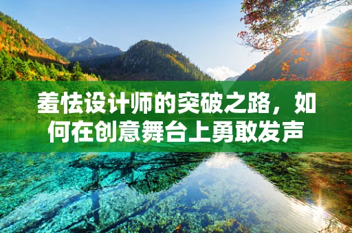 羞怯设计师的突破之路，如何在创意舞台上勇敢发声