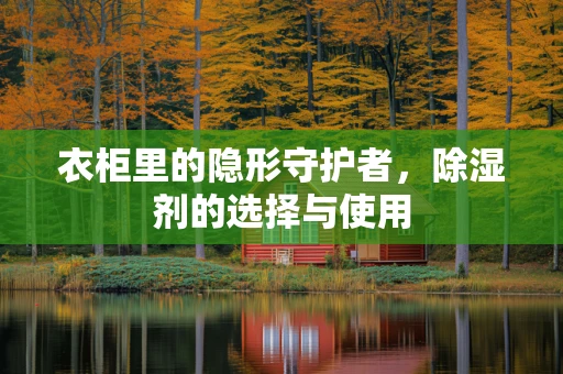 衣柜里的隐形守护者，除湿剂的选择与使用