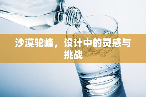 沙漠驼峰，设计中的灵感与挑战