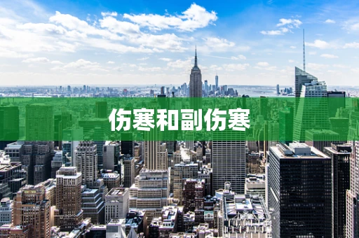 伤寒和副伤寒