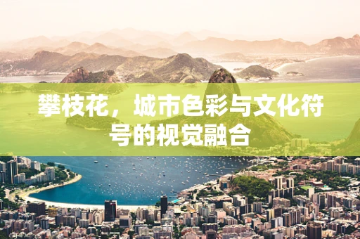 攀枝花，城市色彩与文化符号的视觉融合