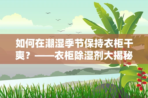 如何在潮湿季节保持衣柜干爽？——衣柜除湿剂大揭秘！