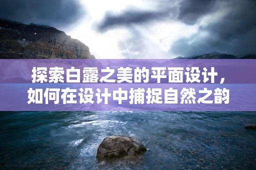 探索白露之美的平面设计，如何在设计中捕捉自然之韵？