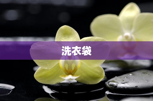 洗衣袋
