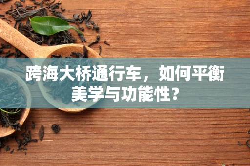 跨海大桥通行车，如何平衡美学与功能性？