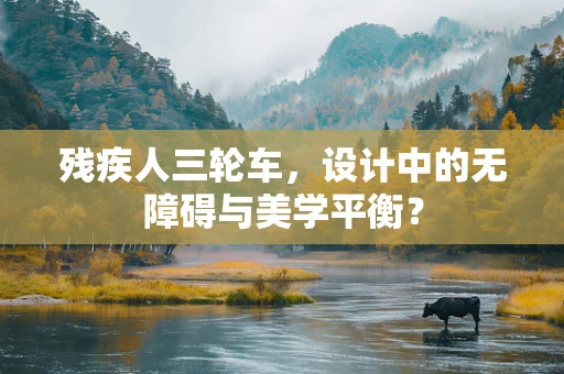 残疾人三轮车，设计中的无障碍与美学平衡？