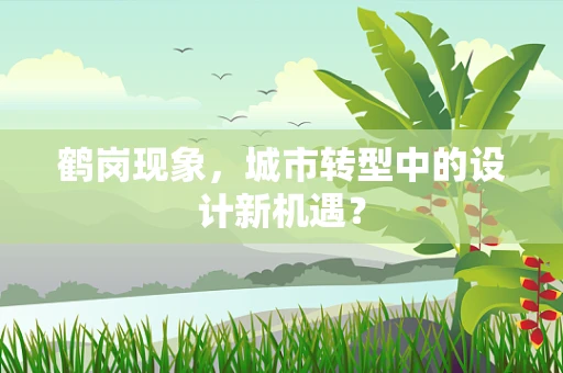 鹤岗现象，城市转型中的设计新机遇？