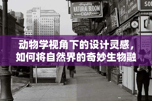 动物学视角下的设计灵感，如何将自然界的奇妙生物融入平面设计？
