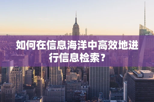 如何在信息海洋中高效地进行信息检索？