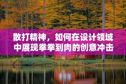 散打精神，如何在设计领域中展现拳拳到肉的创意冲击力？