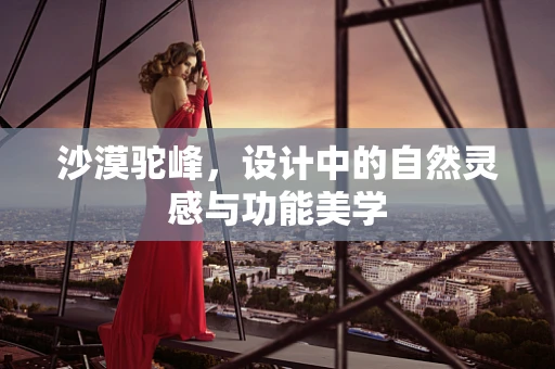 沙漠驼峰，设计中的自然灵感与功能美学
