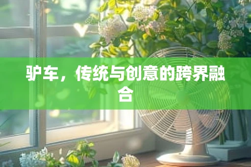 驴车，传统与创意的跨界融合