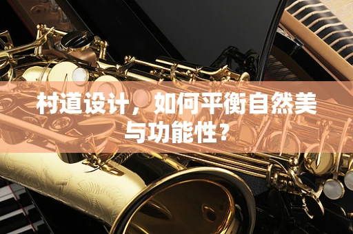 村道设计，如何平衡自然美与功能性？
