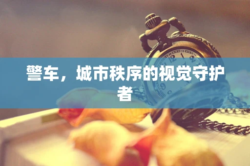 警车，城市秩序的视觉守护者