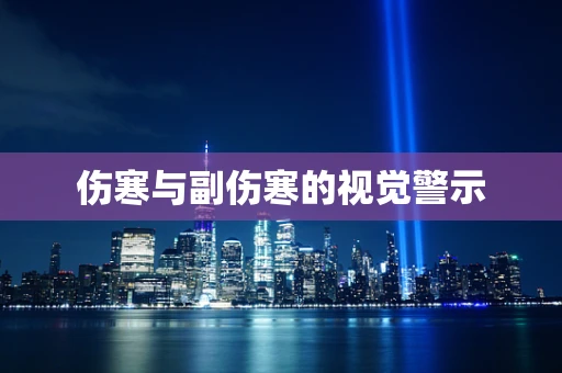 伤寒与副伤寒的视觉警示