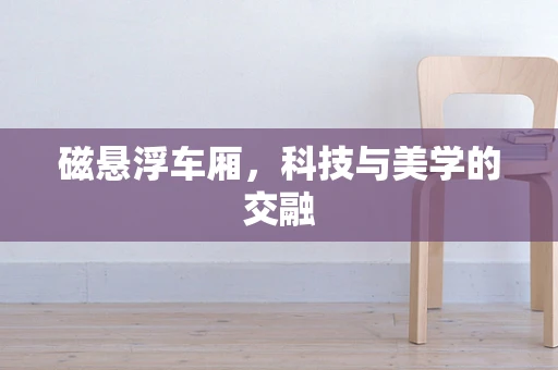 磁悬浮车厢，科技与美学的交融