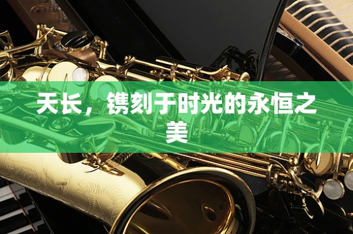 天长，镌刻于时光的永恒之美