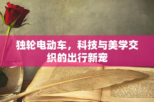独轮电动车，科技与美学交织的出行新宠