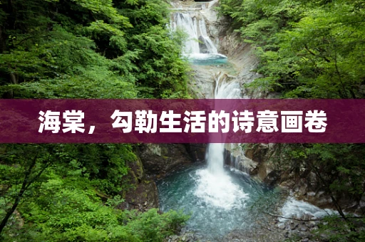 海棠，勾勒生活的诗意画卷