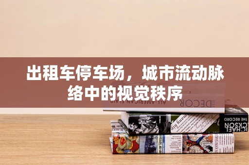 出租车停车场，城市流动脉络中的视觉秩序