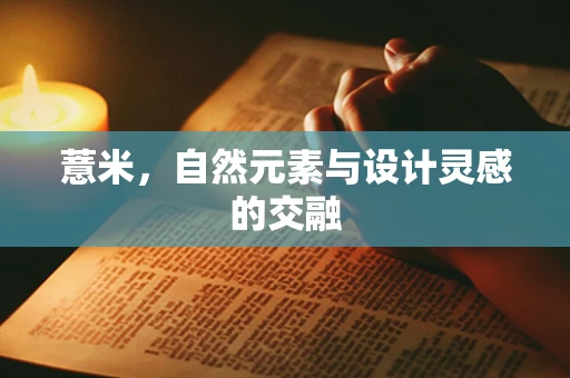 薏米，自然元素与设计灵感的交融