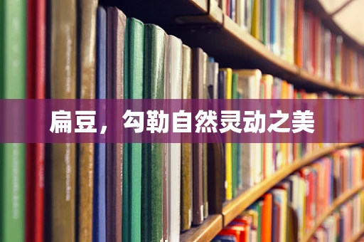 扁豆，勾勒自然灵动之美