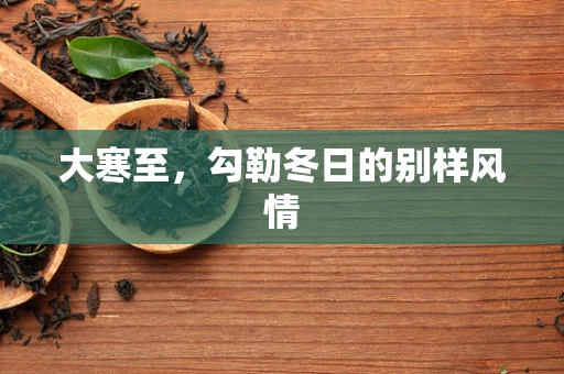 大寒至，勾勒冬日的别样风情
