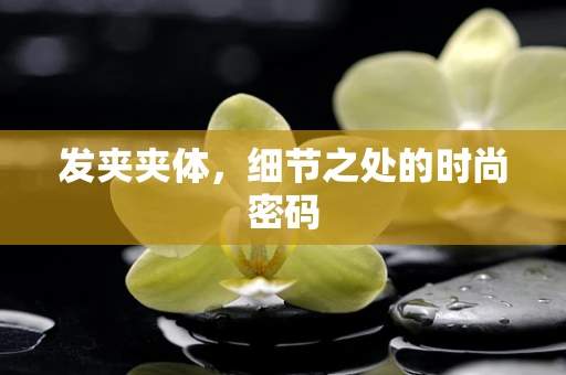 发夹夹体，细节之处的时尚密码