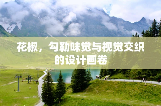 花椒，勾勒味觉与视觉交织的设计画卷