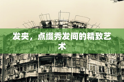 发夹，点缀秀发间的精致艺术