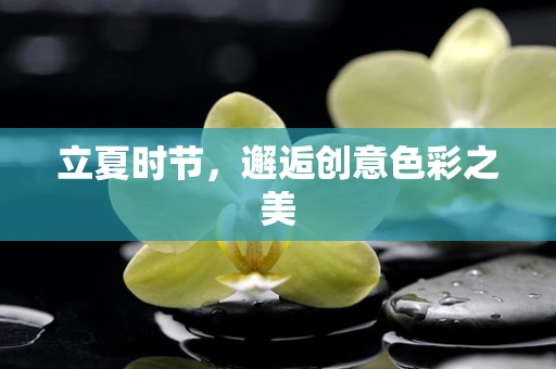 立夏时节，邂逅创意色彩之美