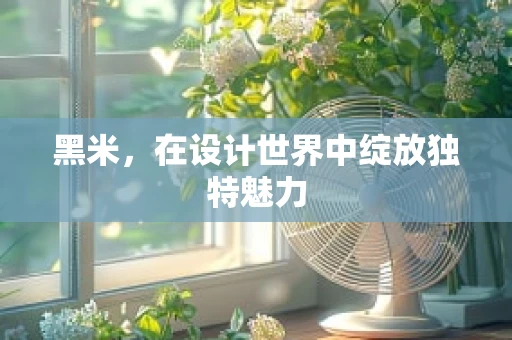 黑米，在设计世界中绽放独特魅力