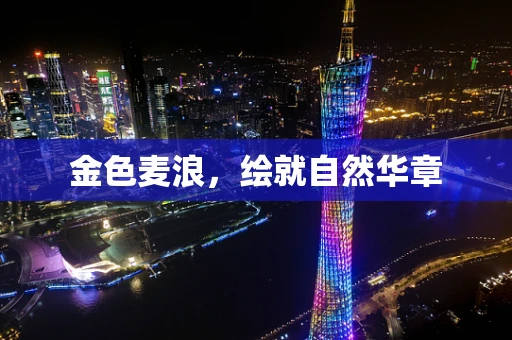 金色麦浪，绘就自然华章