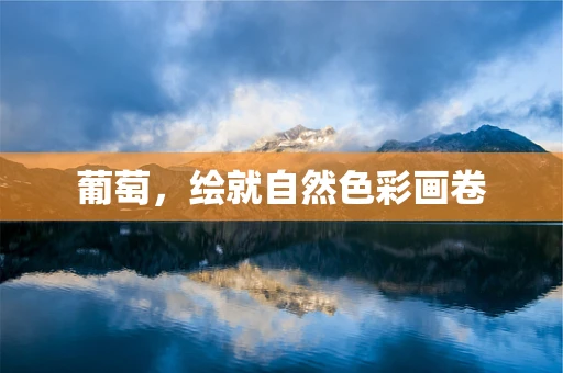 葡萄，绘就自然色彩画卷