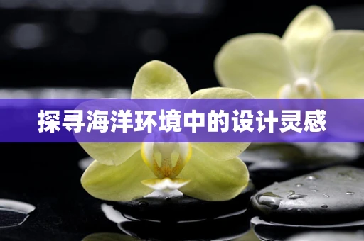 探寻海洋环境中的设计灵感