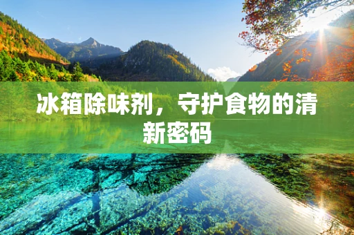 冰箱除味剂，守护食物的清新密码