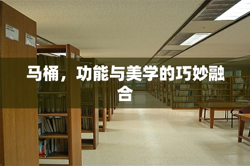 马桶，功能与美学的巧妙融合