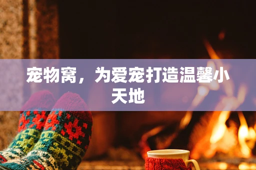 宠物窝，为爱宠打造温馨小天地