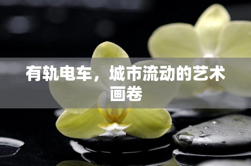 有轨电车，城市流动的艺术画卷