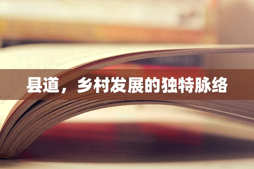县道，乡村发展的独特脉络