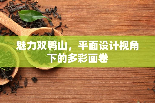 魅力双鸭山，平面设计视角下的多彩画卷