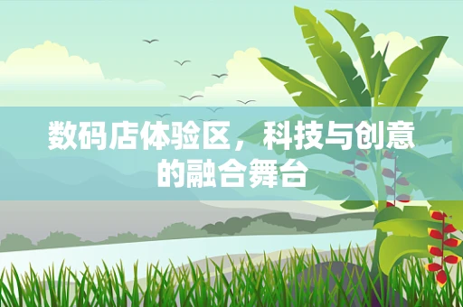 数码店体验区，科技与创意的融合舞台