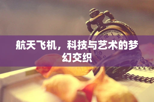 航天飞机，科技与艺术的梦幻交织