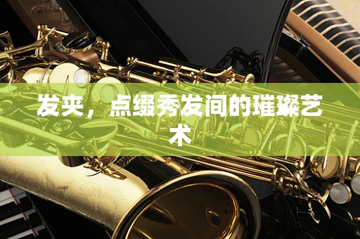 发夹，点缀秀发间的璀璨艺术